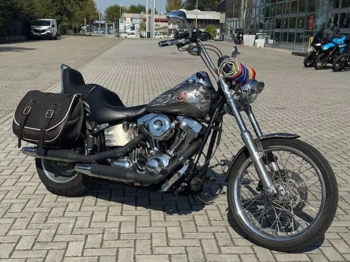 Harley-Davidson 1584 Custom (2008 - 09) - FXSTC (2)