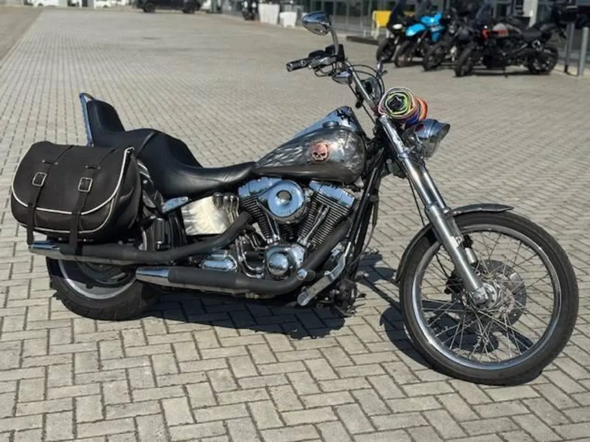 Harley-Davidson 1584 Custom (2008 - 09) - FXSTC (3)