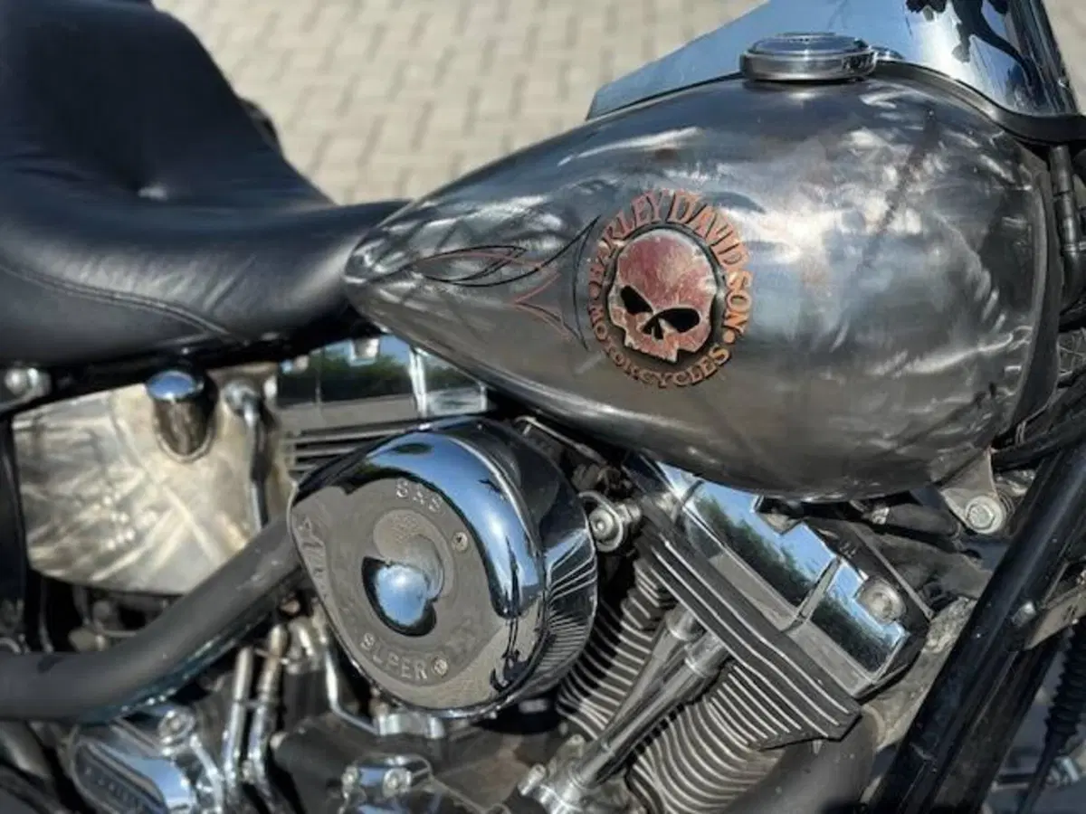 Harley-Davidson 1584 Custom (2008 - 09) - FXSTC (4)