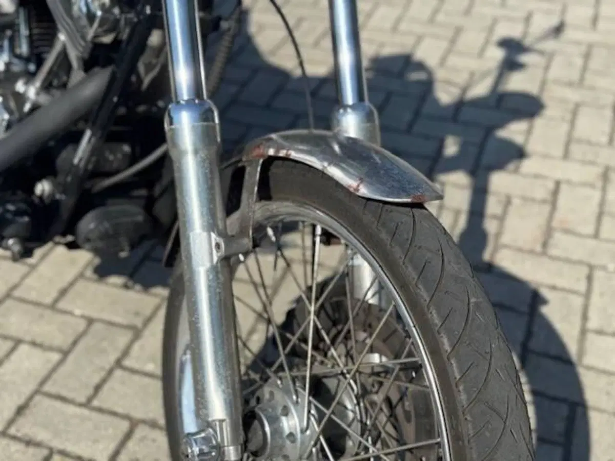Harley-Davidson 1584 Custom (2008 - 09) - FXSTC (5)