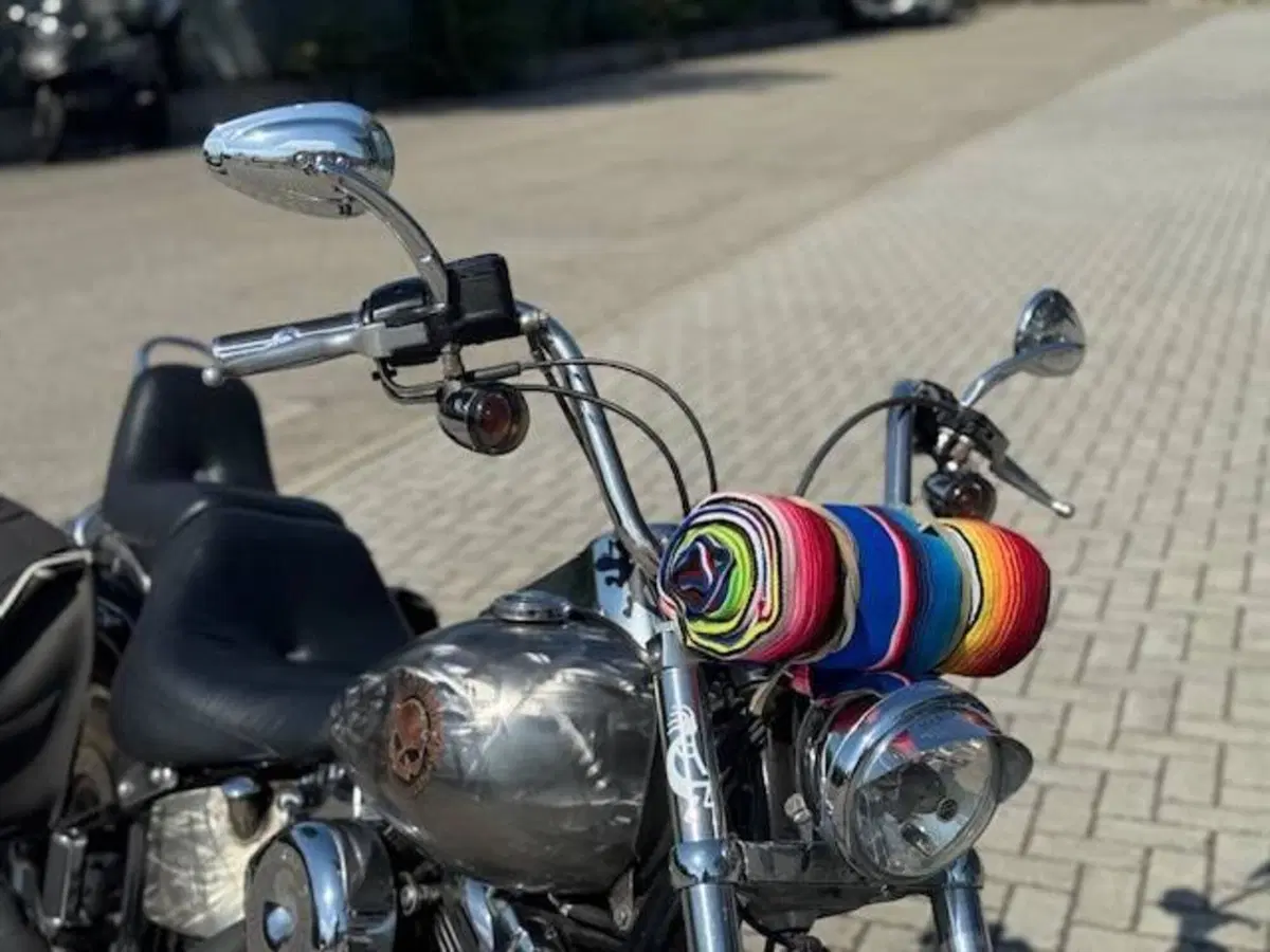 Harley-Davidson 1584 Custom (2008 - 09) - FXSTC (6)