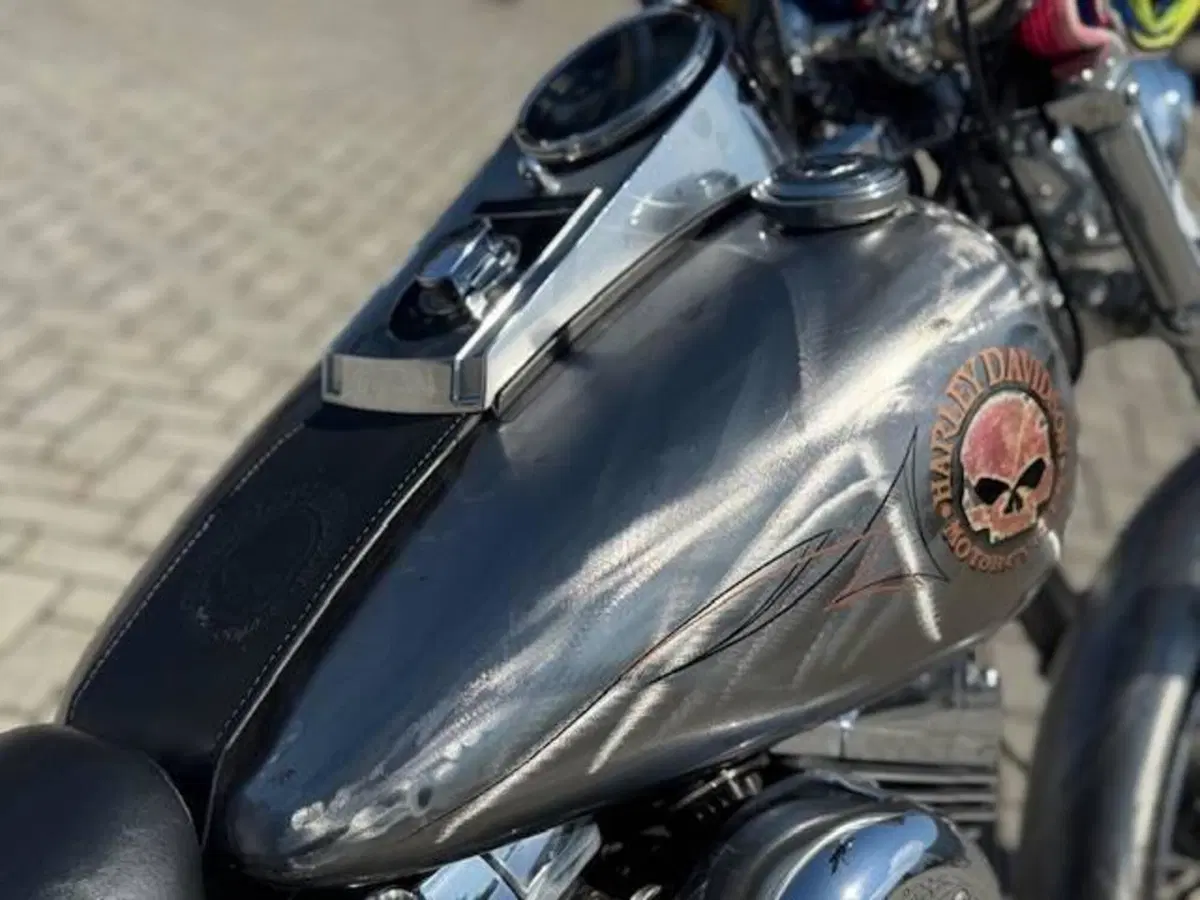 Harley-Davidson 1584 Custom (2008 - 09) - FXSTC (7)