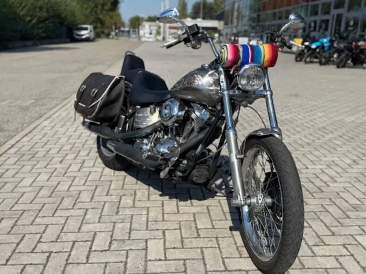 Harley-Davidson 1584 Custom (2008 - 09) - FXSTC (8)