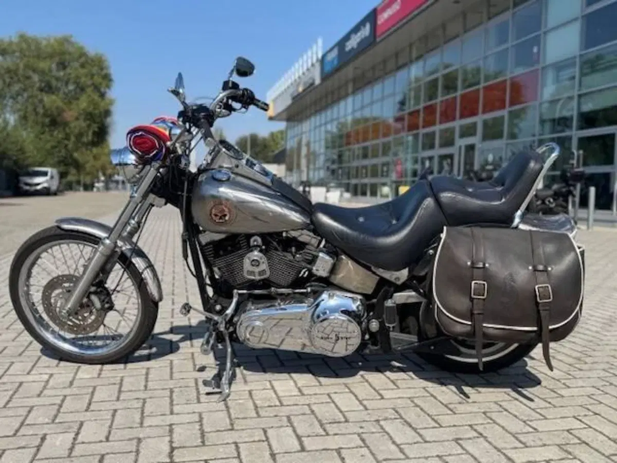 Harley-Davidson 1584 Custom (2008 - 09) - FXSTC (9)