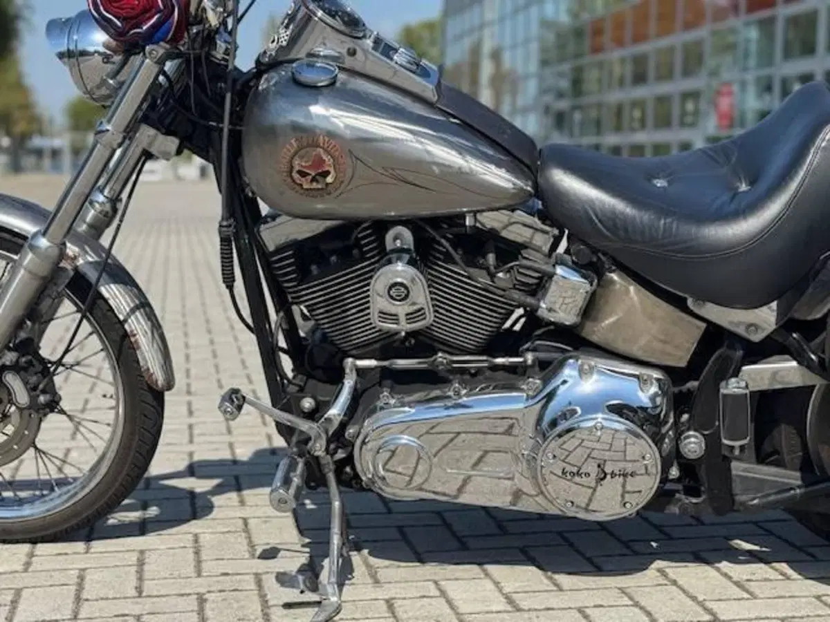 Harley-Davidson 1584 Custom (2008 - 09) - FXSTC (10)