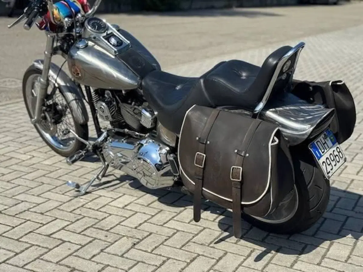 Harley-Davidson 1584 Custom (2008 - 09) - FXSTC (12)