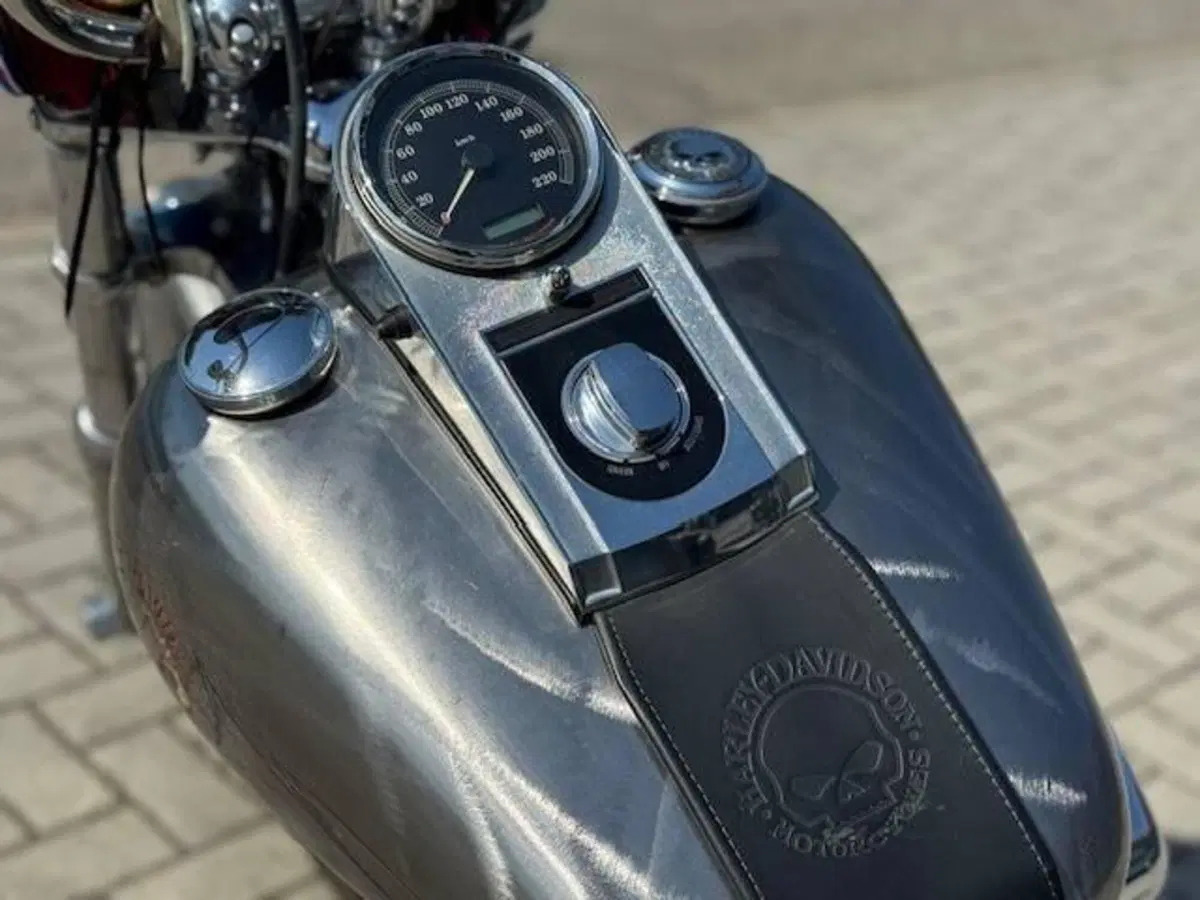 Harley-Davidson 1584 Custom (2008 - 09) - FXSTC (14)