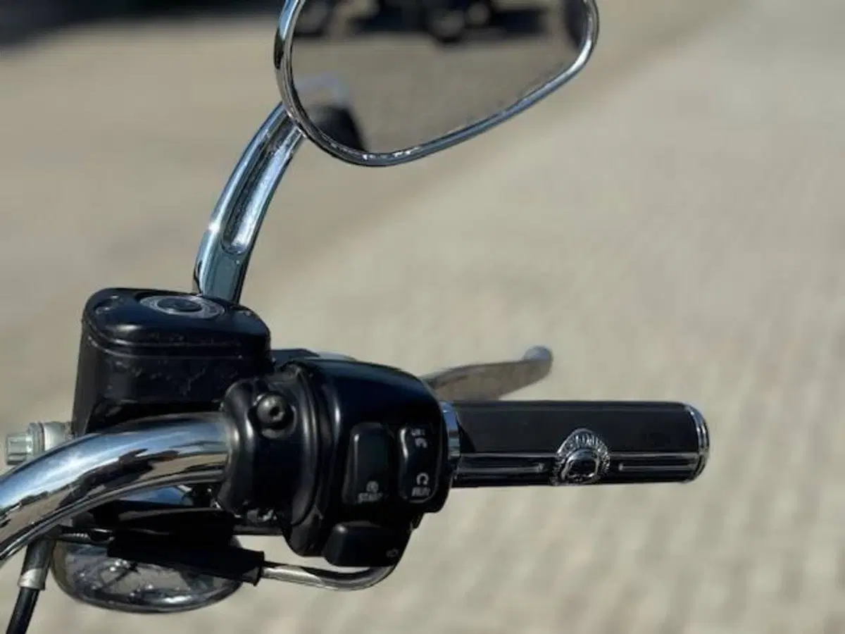 Harley-Davidson 1584 Custom (2008 - 09) - FXSTC (15)