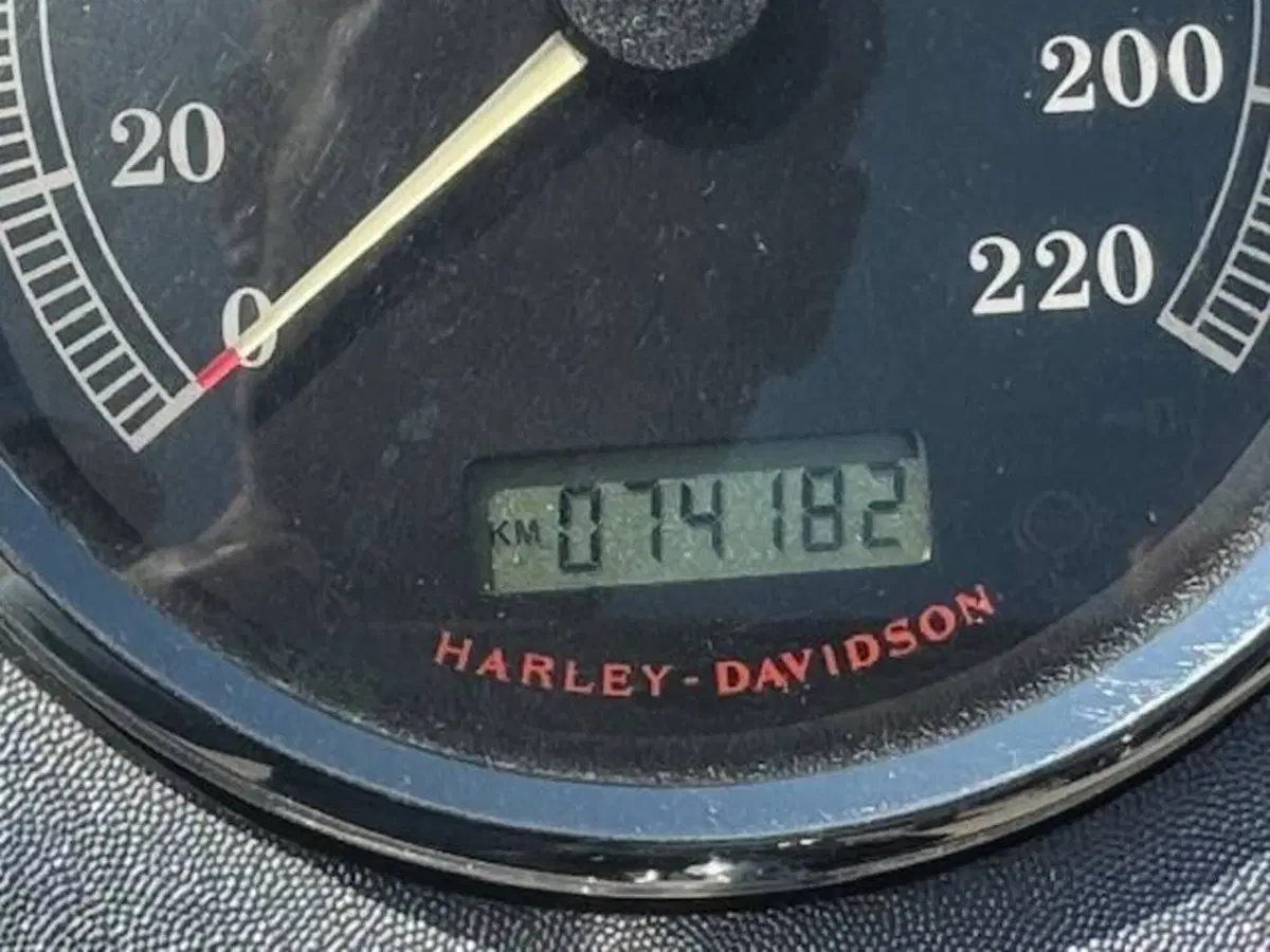 Harley-Davidson 1584 Custom (2008 - 09) - FXSTC (16)