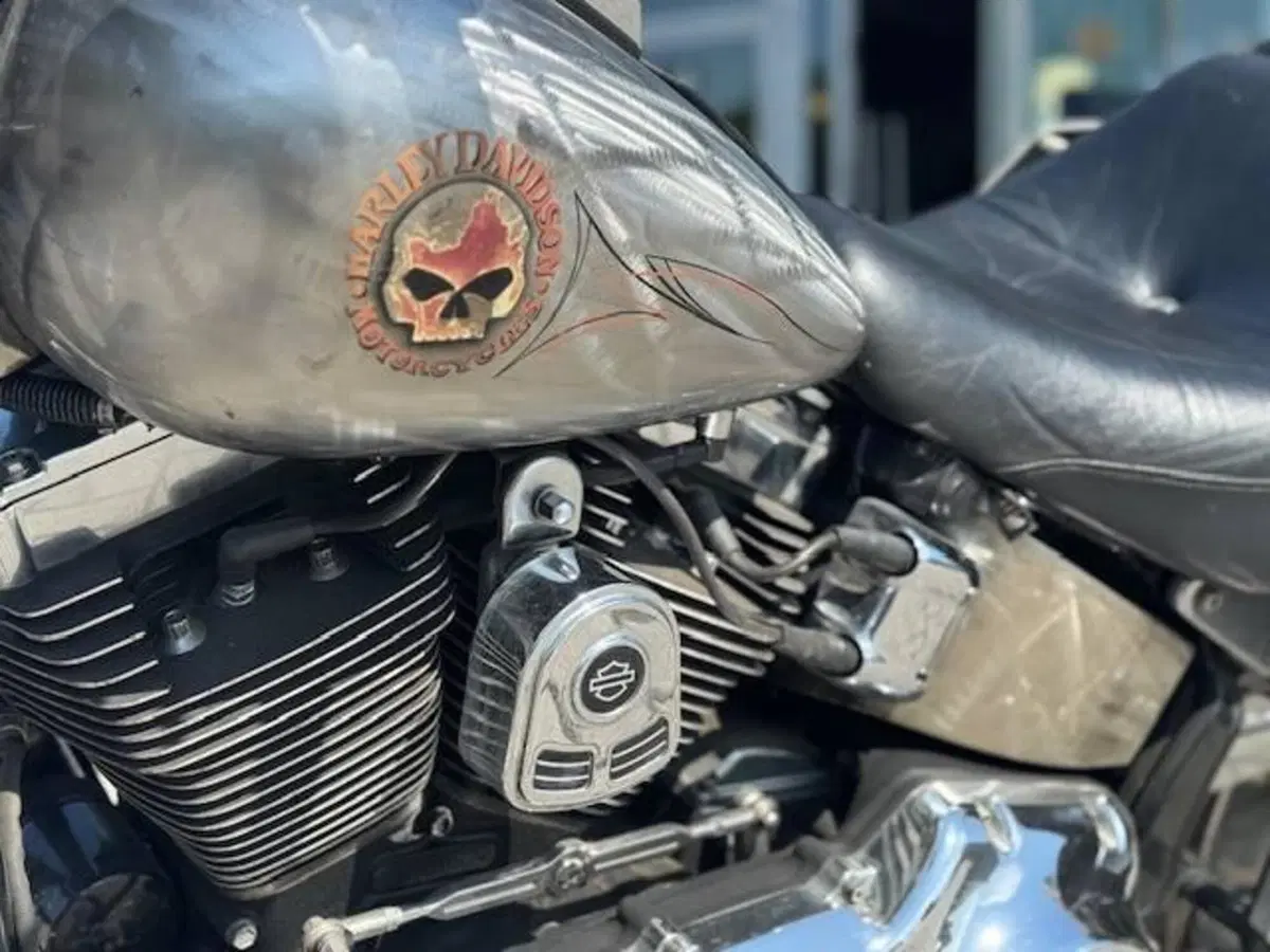 Harley-Davidson 1584 Custom (2008 - 09) - FXSTC (17)