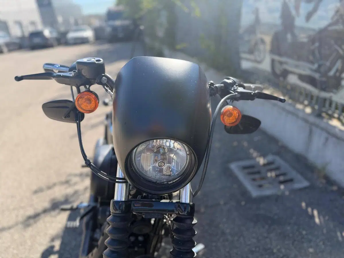 Harley-Davidson 883 Iron (2014 - 16) - XL 883N (2)