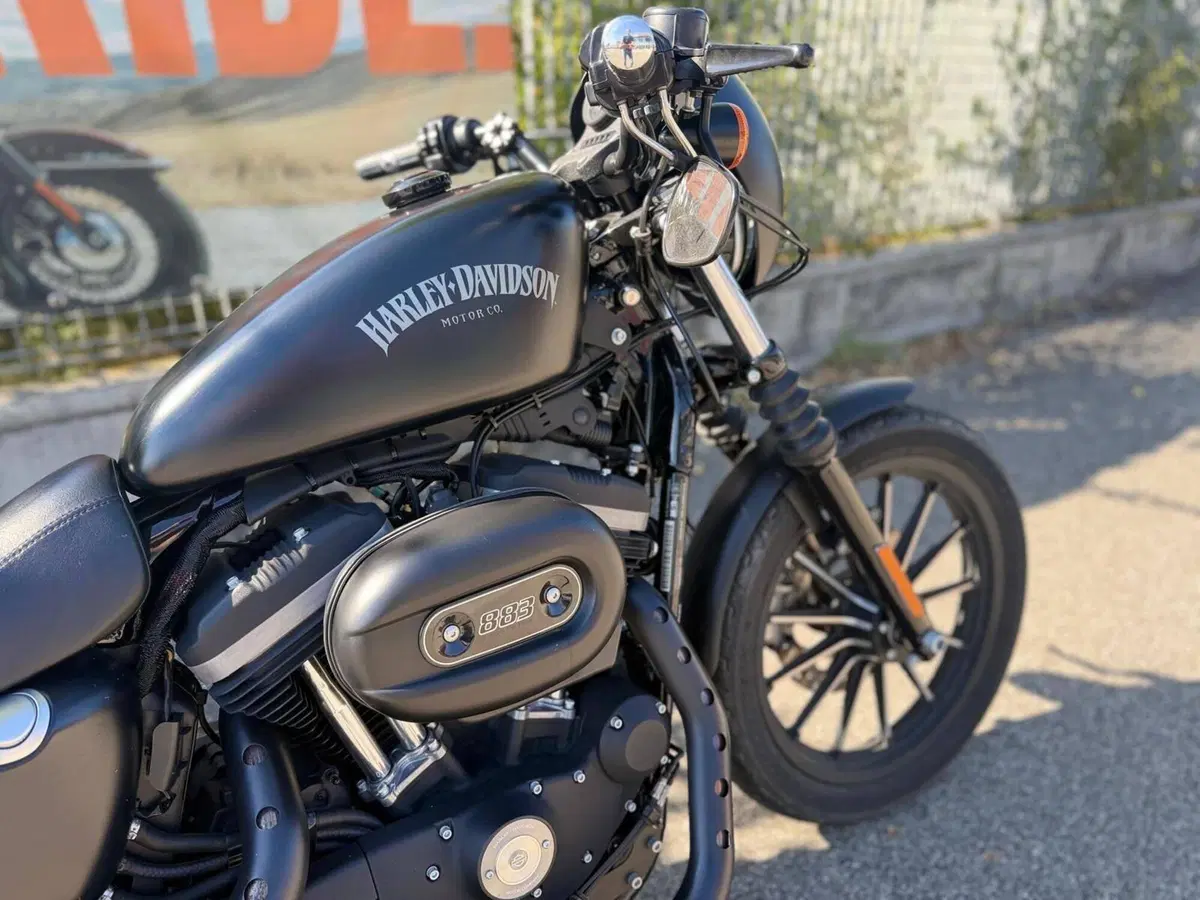 Harley-Davidson 883 Iron (2014 - 16) - XL 883N (3)