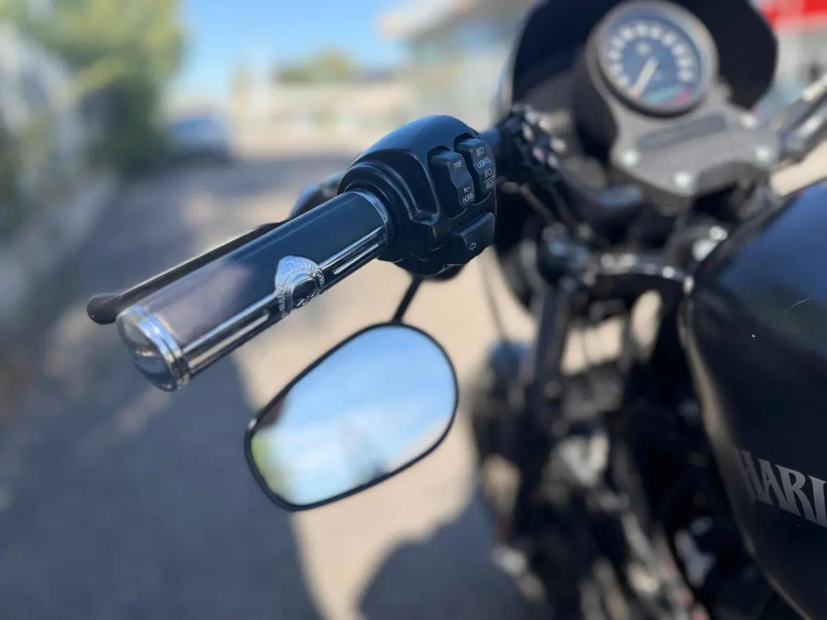 Harley-Davidson 883 Iron (2014 - 16) - XL 883N (4)
