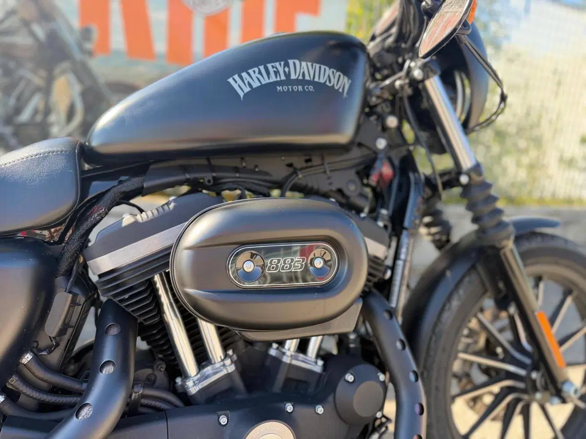 Harley-Davidson 883 Iron (2014 - 16) - XL 883N (6)