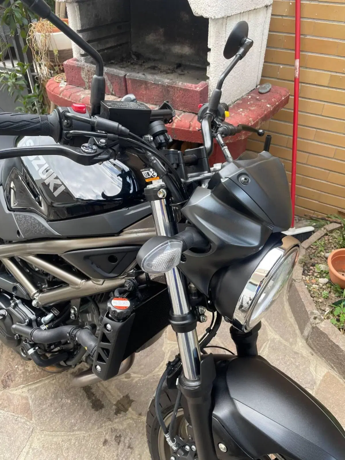 Suzuki SV650 (2021 - 24) (6)