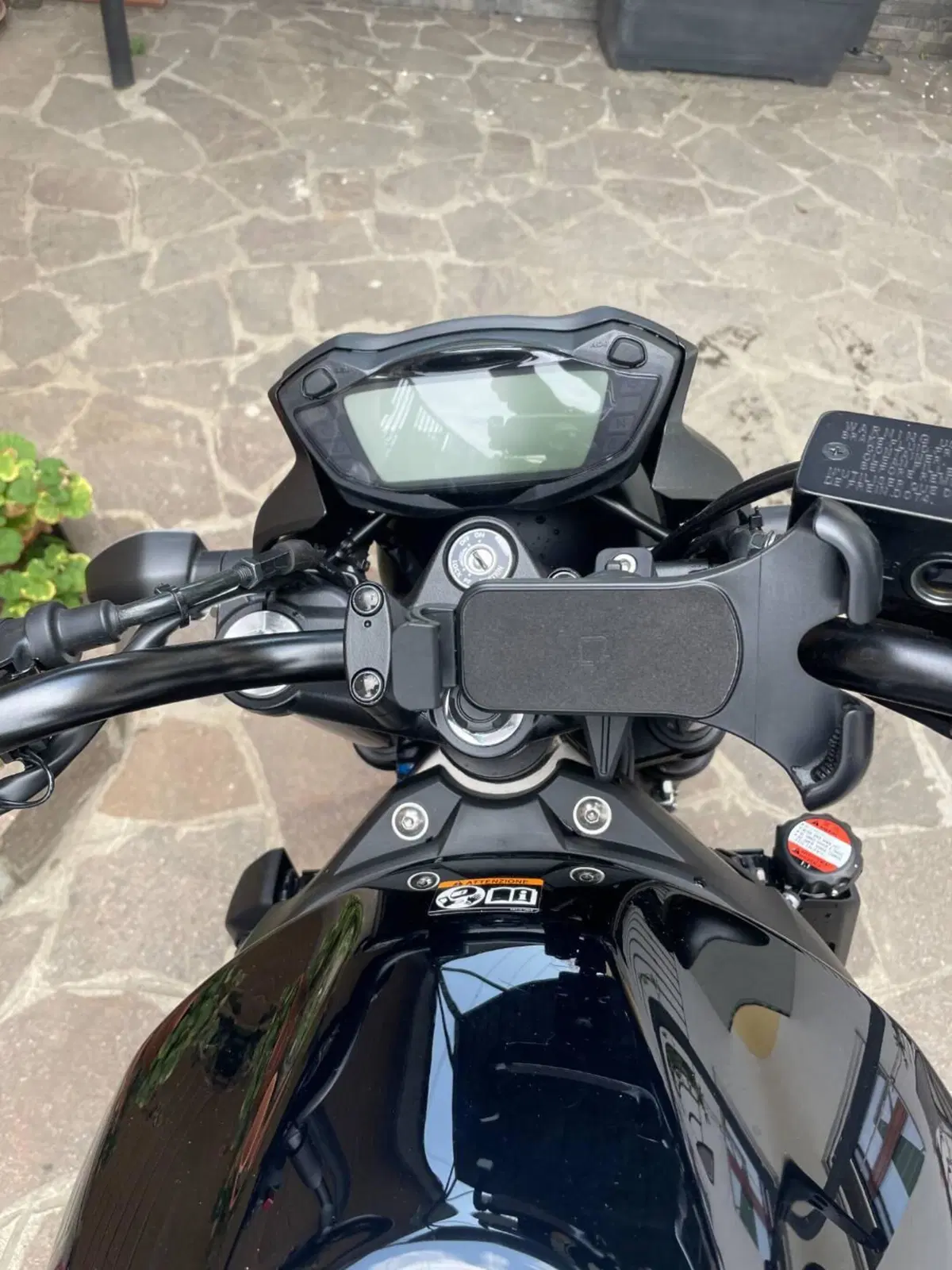 Suzuki SV650 (2021 - 24) (10)