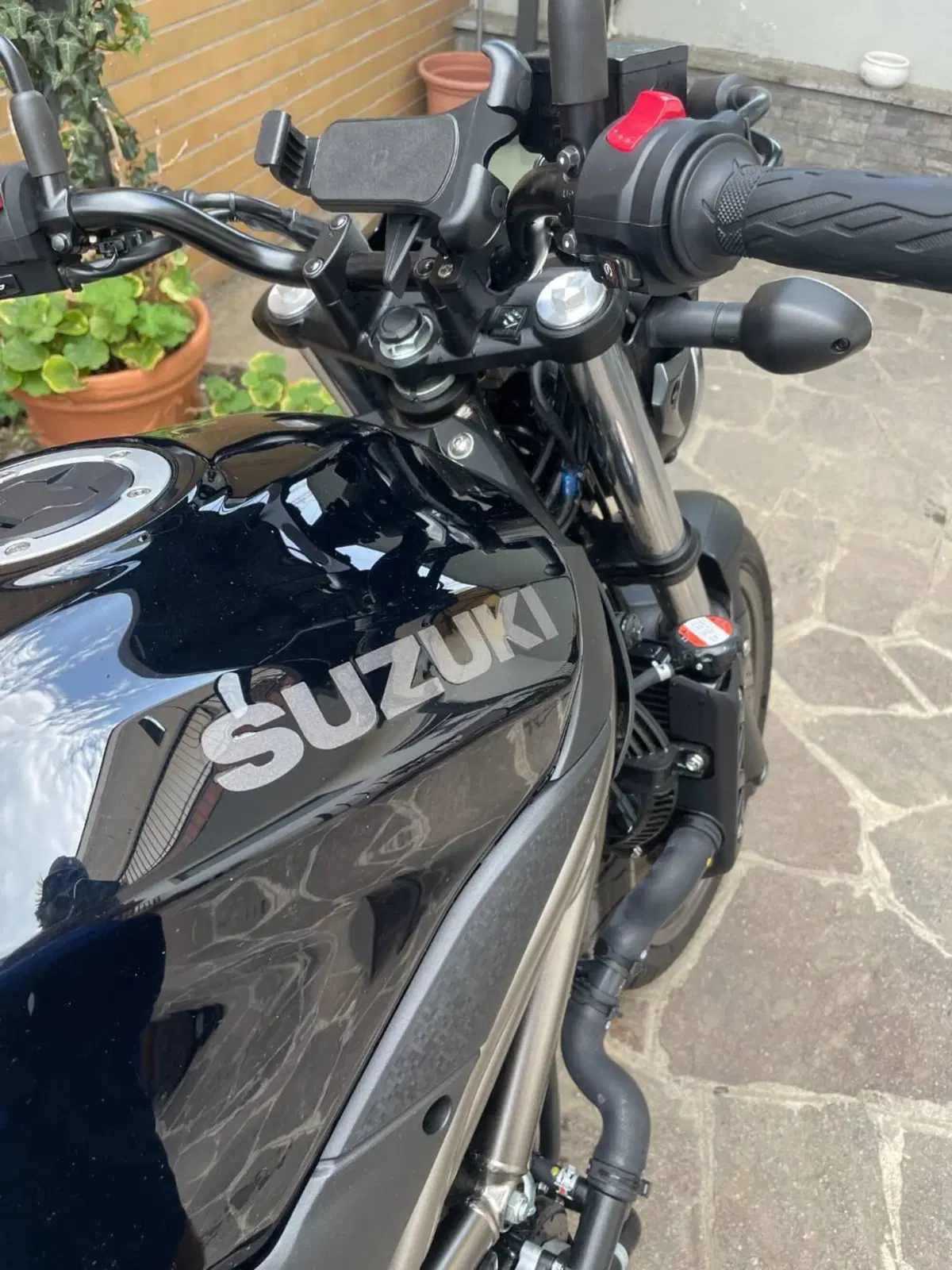 Suzuki SV650 (2021 - 24) (11)
