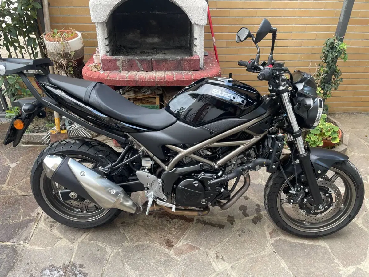 Suzuki SV650 (2021 - 24)