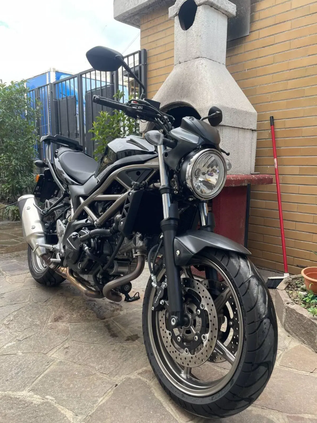 Suzuki SV650 (2021 - 24) (2)