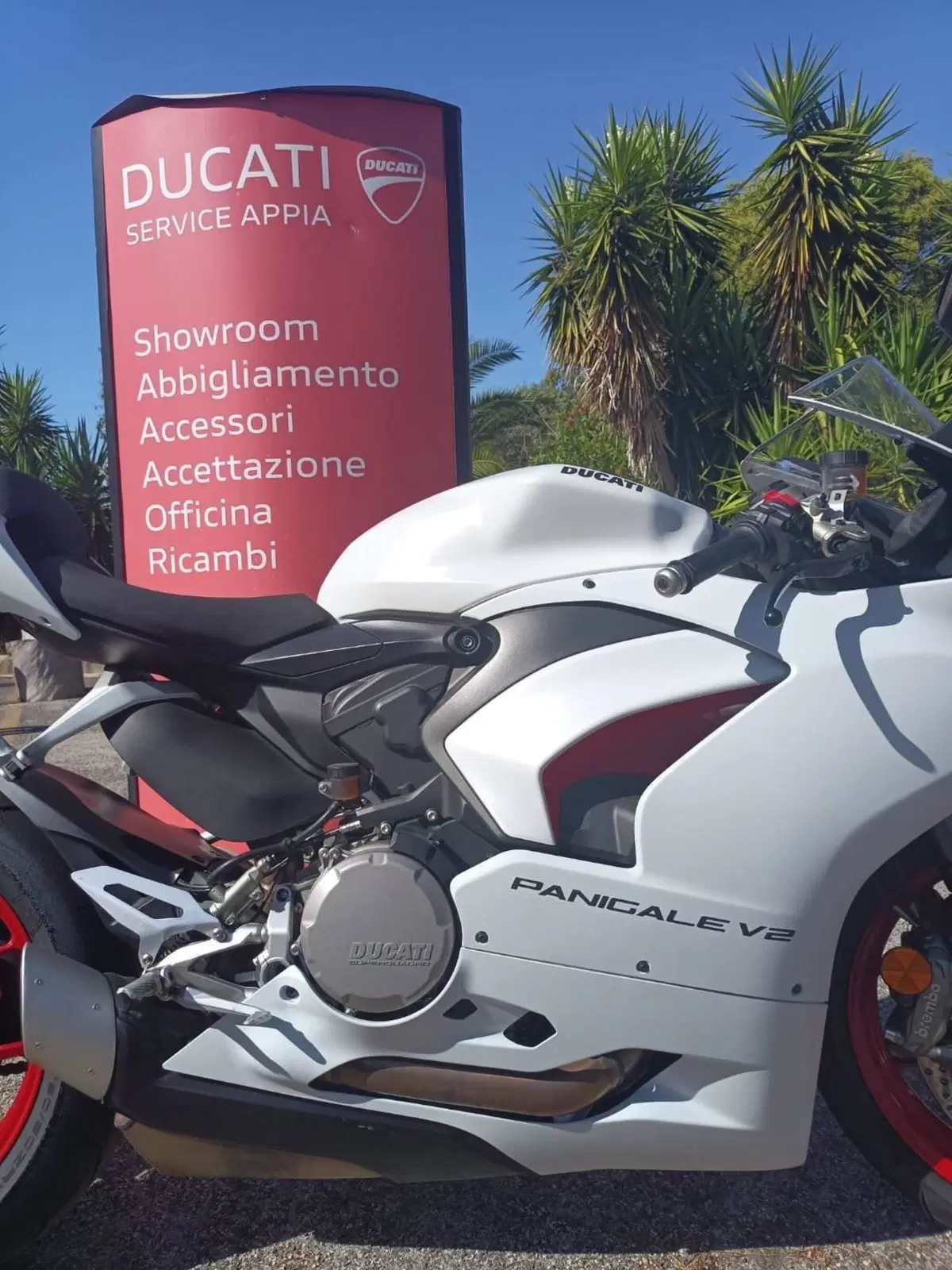 Ducati Panigale V2 (2021 - 24) (12)