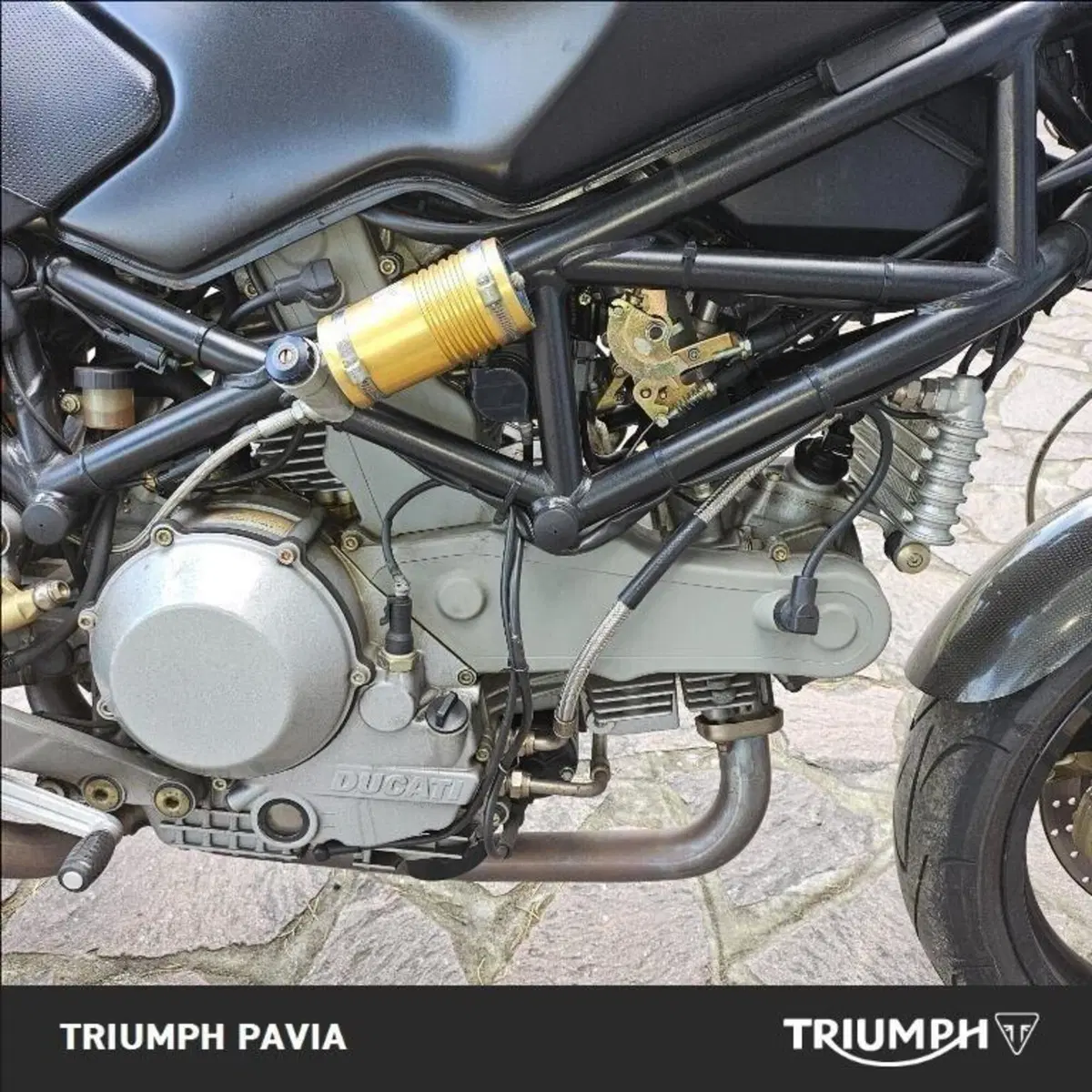 Ducati Monster 1000 Dark (2003 - 05) (17)