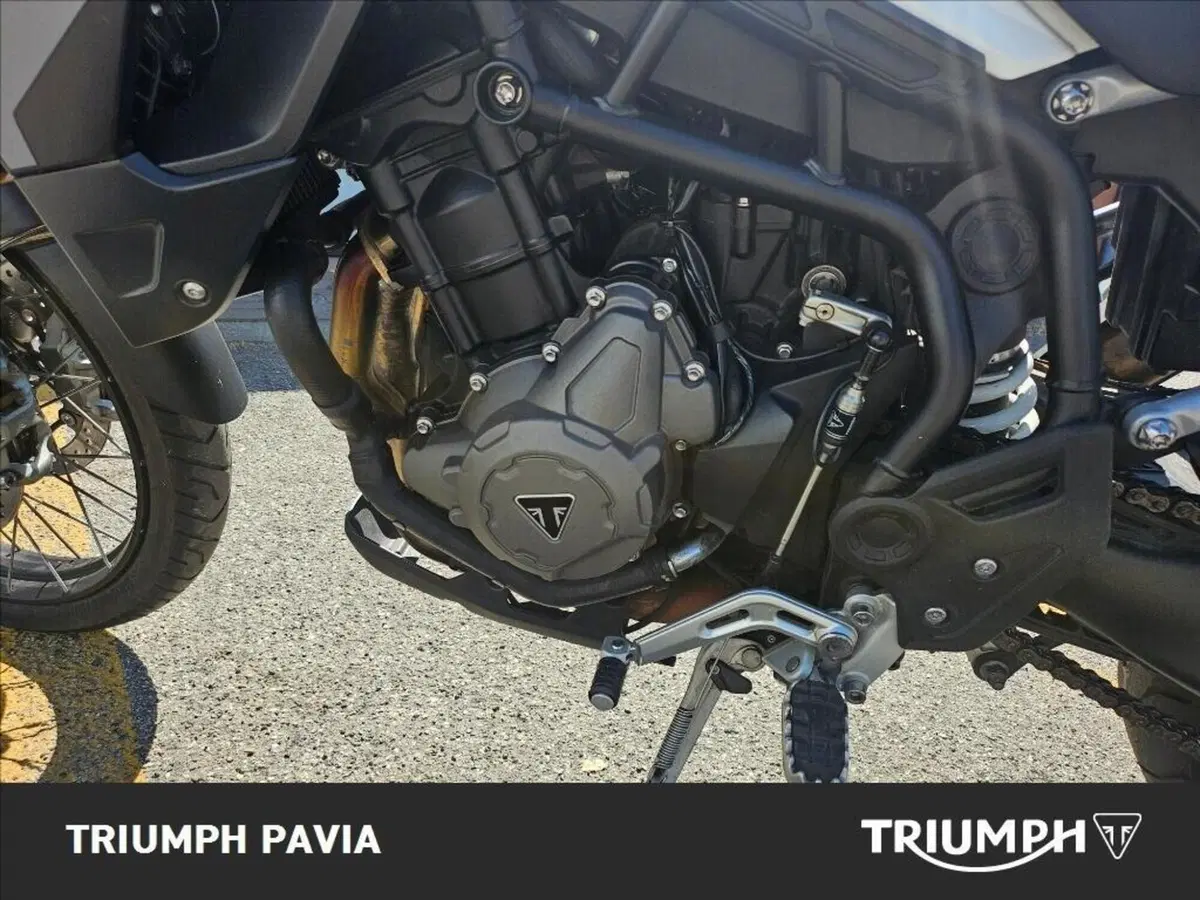 Triumph Tiger 900 Rally (2020 - 23) (7)