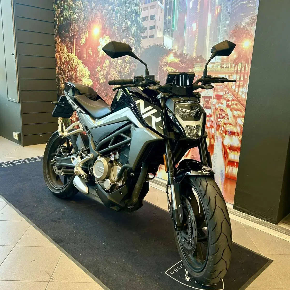 CFMOTO 300NK (2021 - 26) (3)