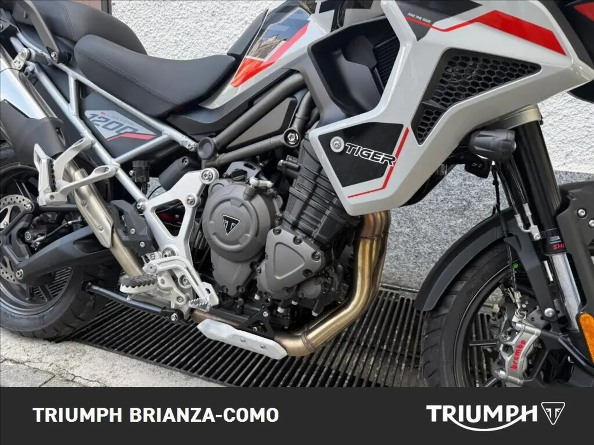 Triumph Tiger 1200 Alpine Special Edition (2026) (4)