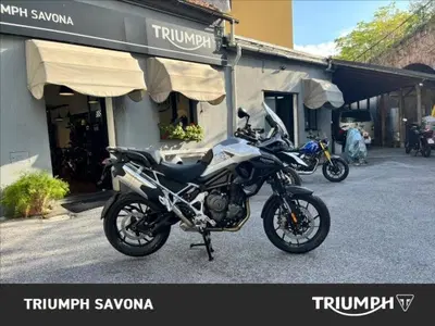Triumph Tiger 1200 GT Pro (2024 - 26) usata