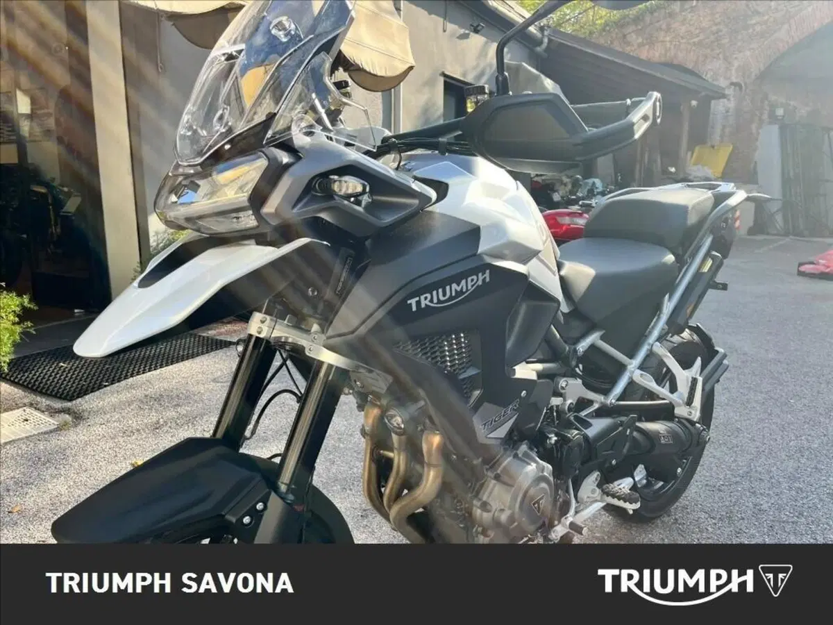 Triumph Tiger 1200 GT Pro (2024 - 26) (3)