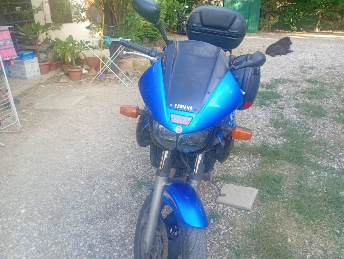 Yamaha TDM 850 (1996 - 01) (2)