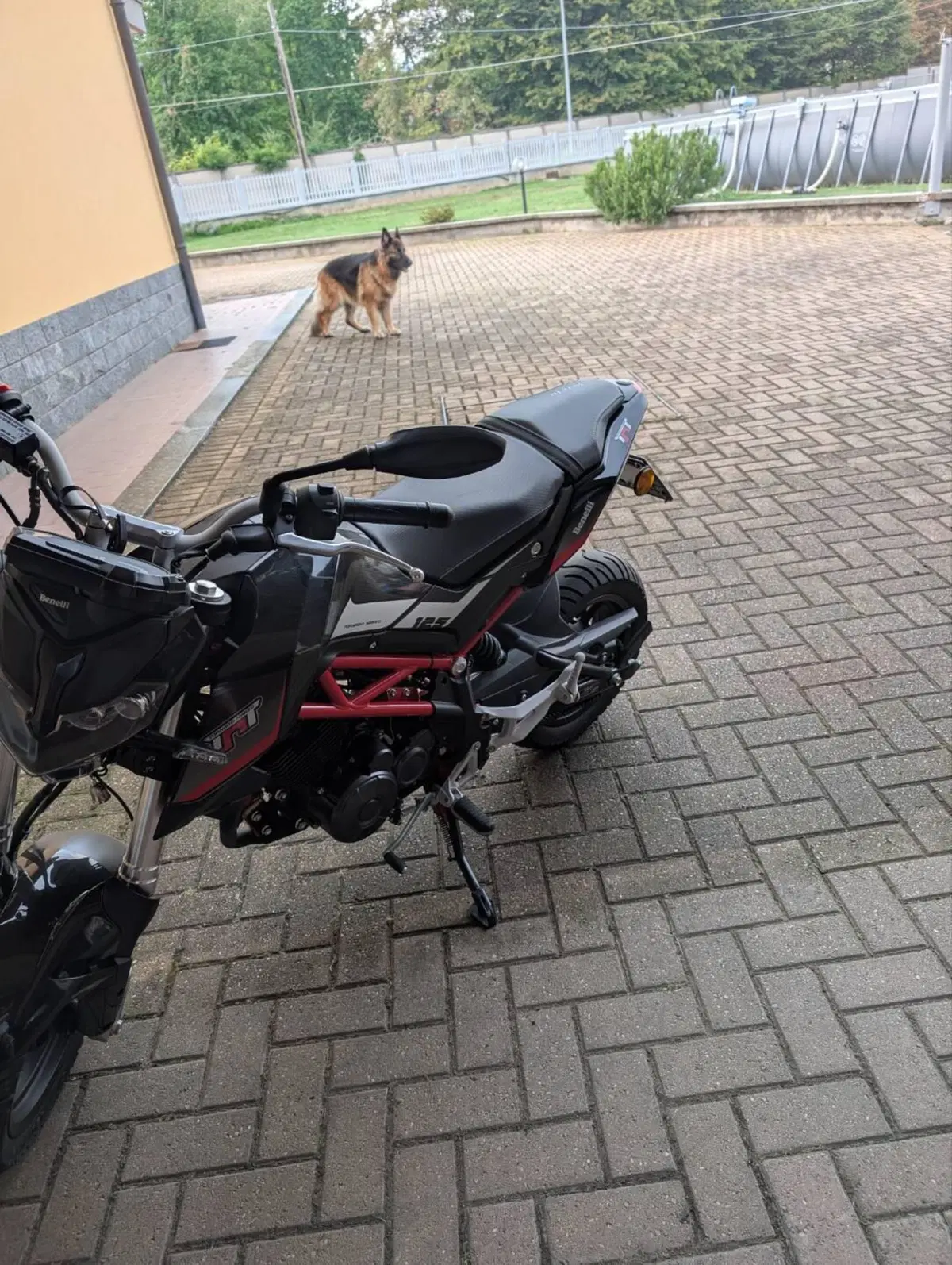 Benelli Tornado Naked T 125 (2021) (2)
