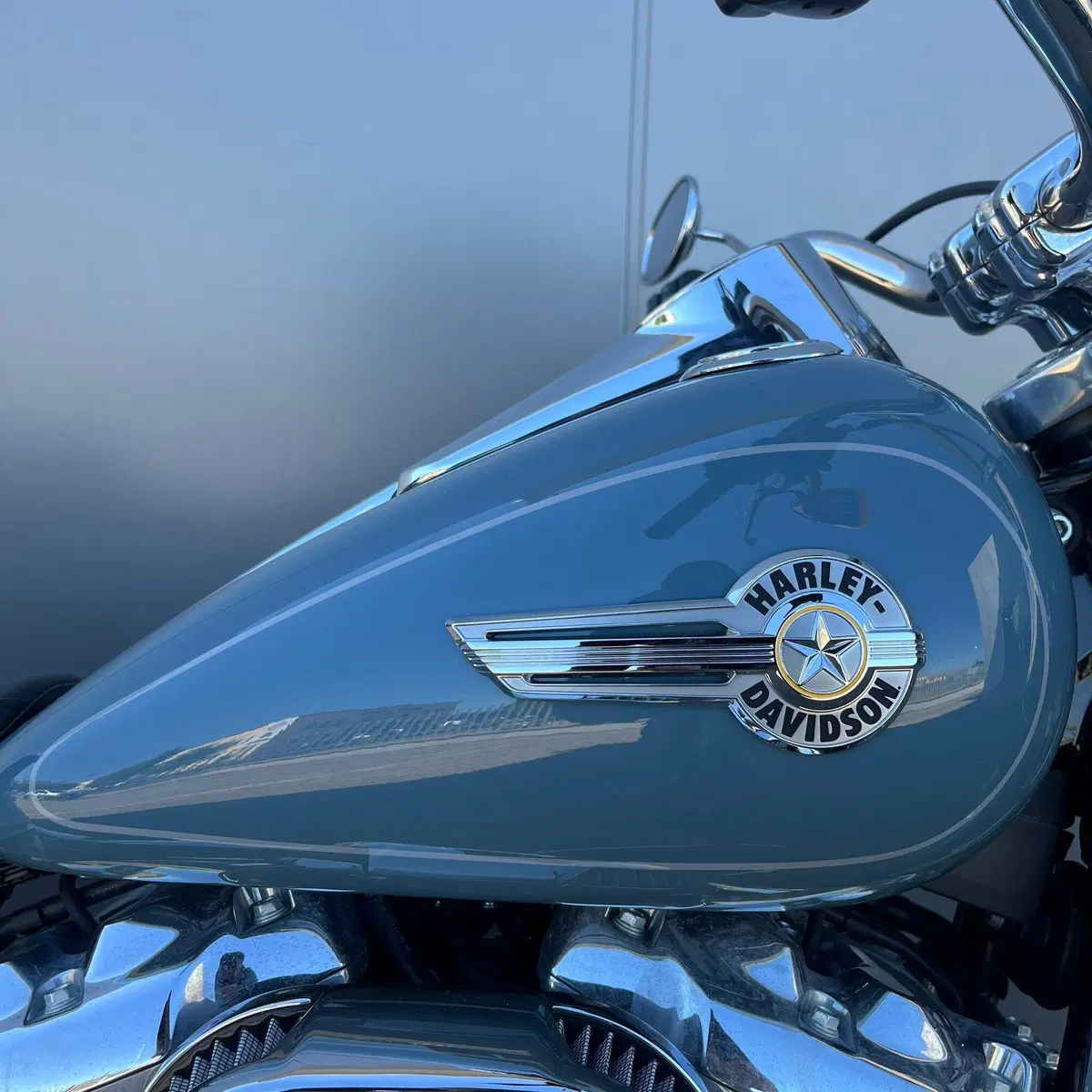 Harley-Davidson Fat Boy 114 (2021 - 24) (5)