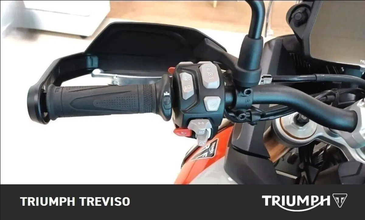 Triumph Tiger 900 Rally Pro (2024 - 26) (5)