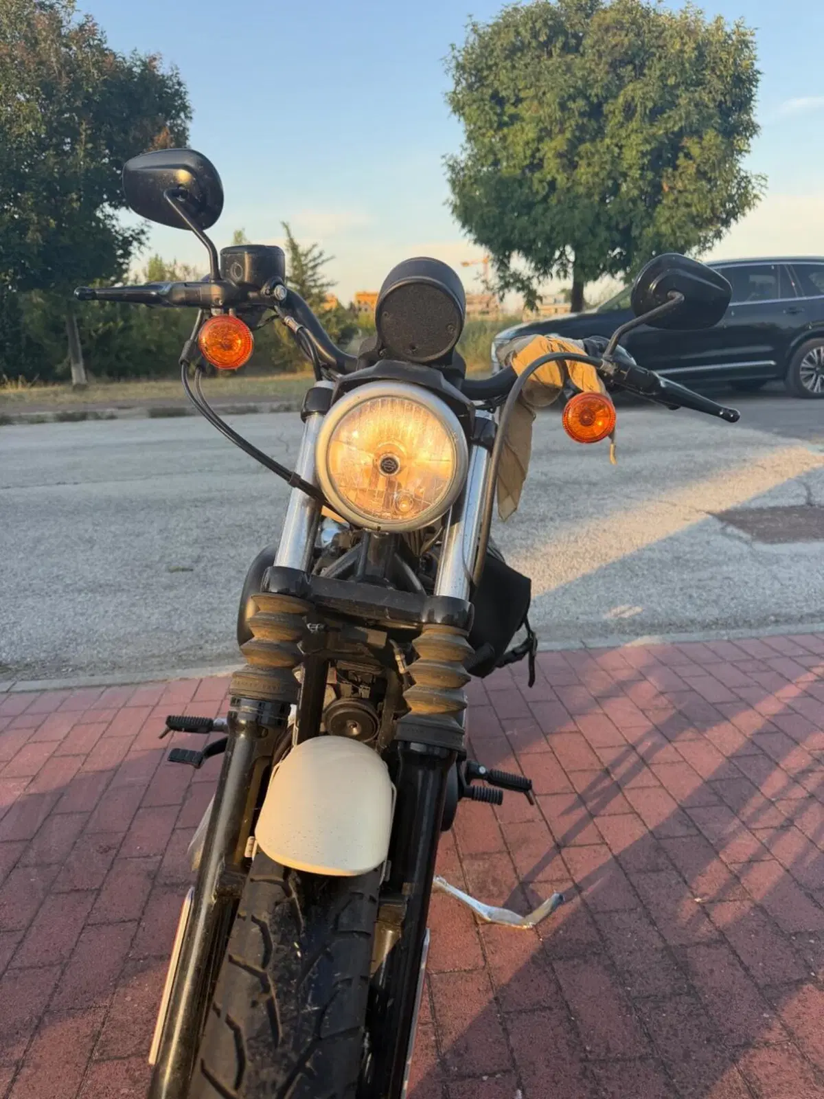 Harley-Davidson 883 Iron (2012 - 14) - XL 883N (2)