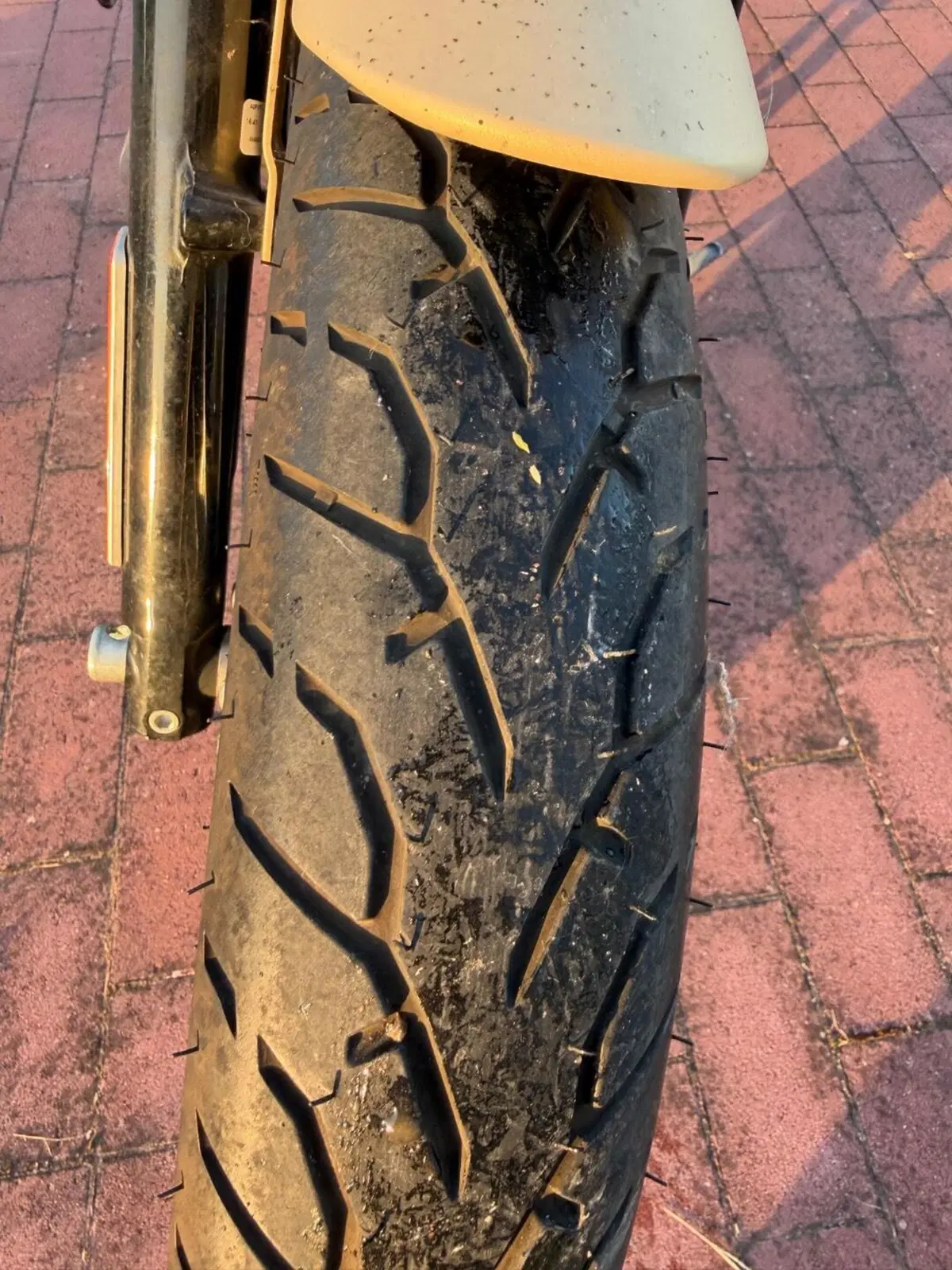 Harley-Davidson 883 Iron (2012 - 14) - XL 883N (3)