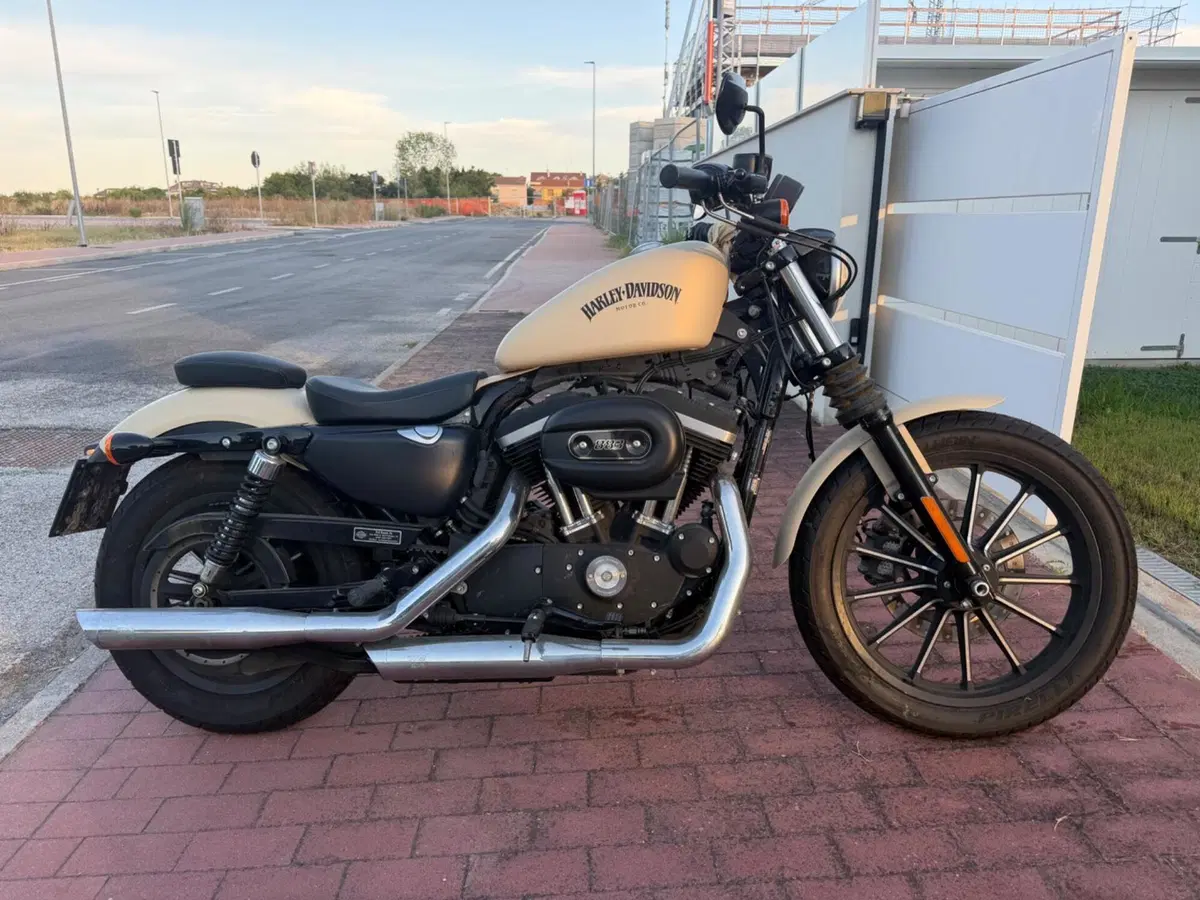Harley-Davidson 883 Iron (2012 - 14) - XL 883N (6)