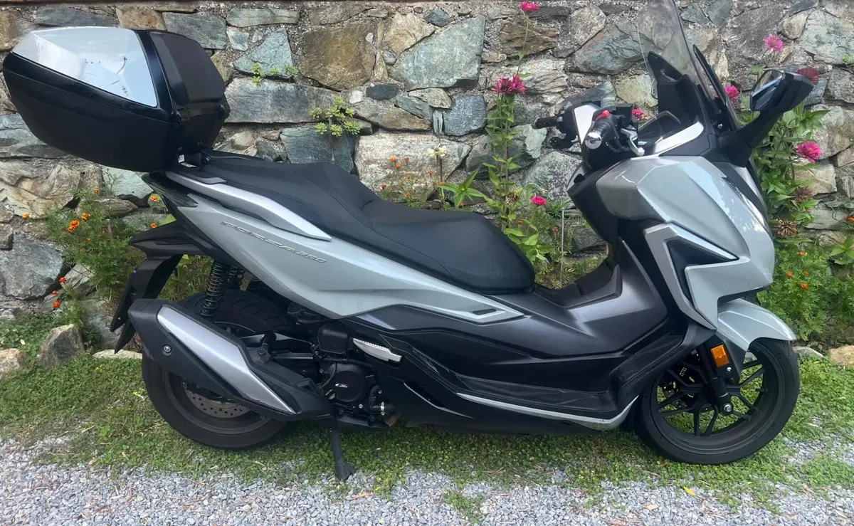 Honda Forza 350 Deluxe (2022 - 24) (2)