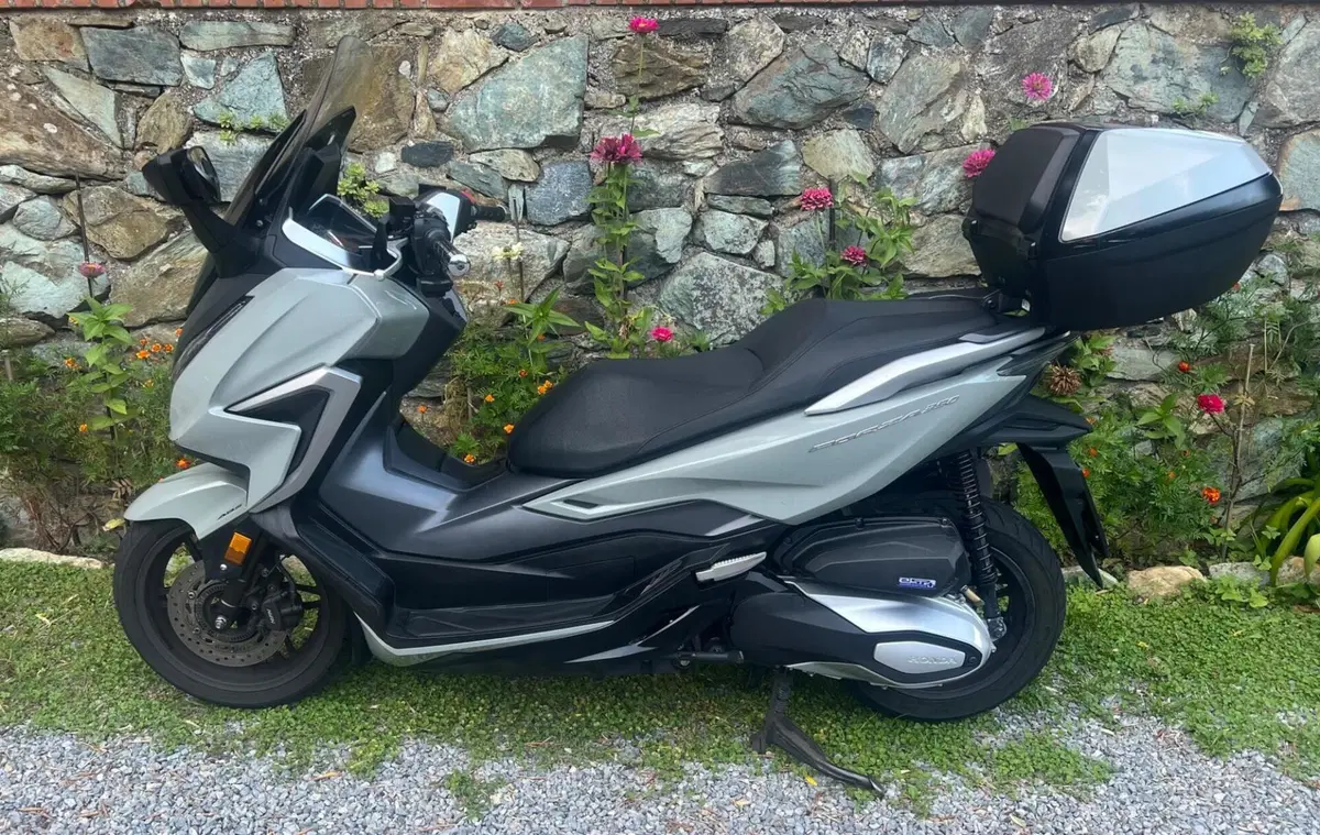 Honda Forza 350 Deluxe (2022 - 24) (3)