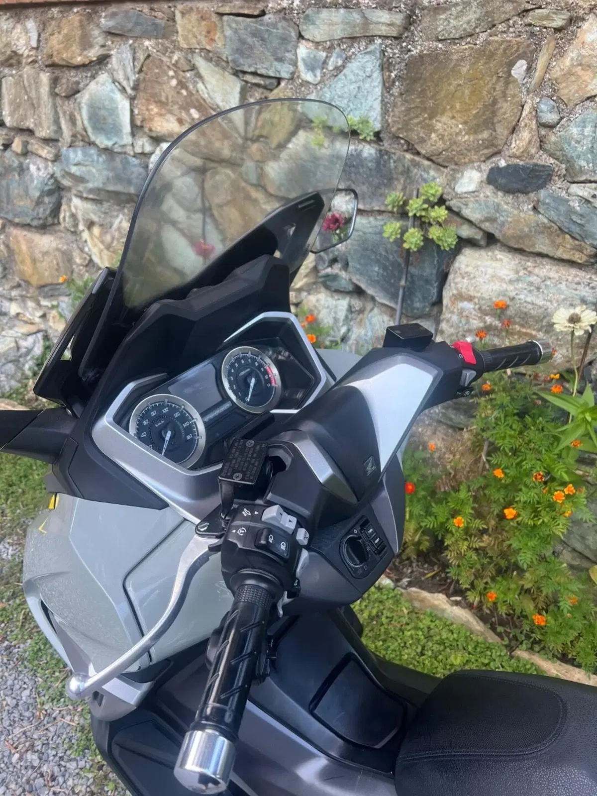 Honda Forza 350 Deluxe (2022 - 24) (6)