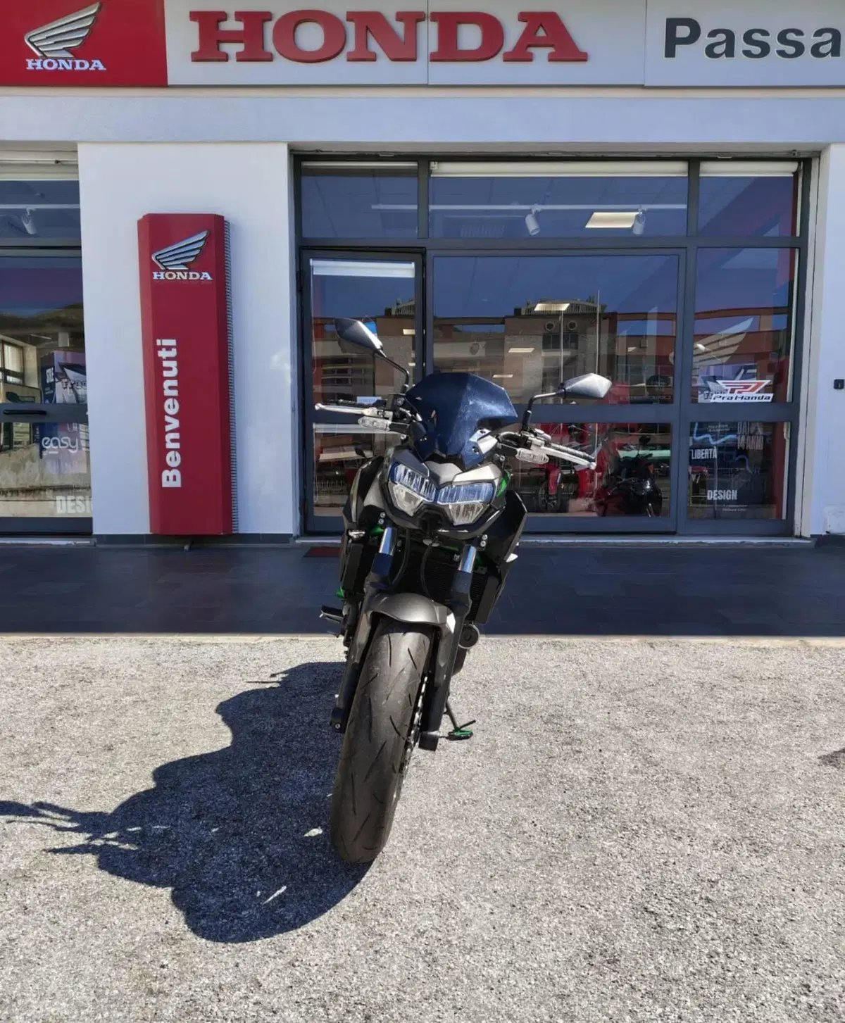 Kawasaki Z 650 (2021 - 24)