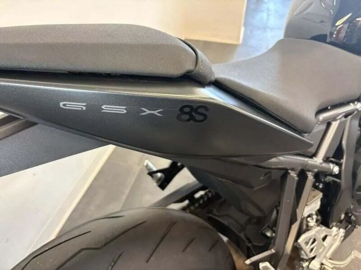 Suzuki GSX-8S (2023 - 24) (5)
