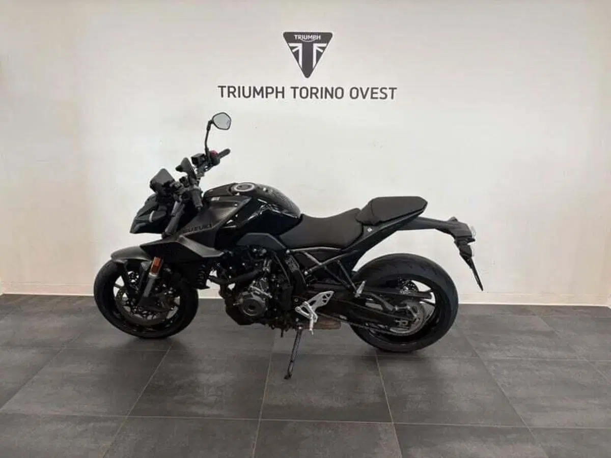 Suzuki GSX-8S (2023 - 24) (2)
