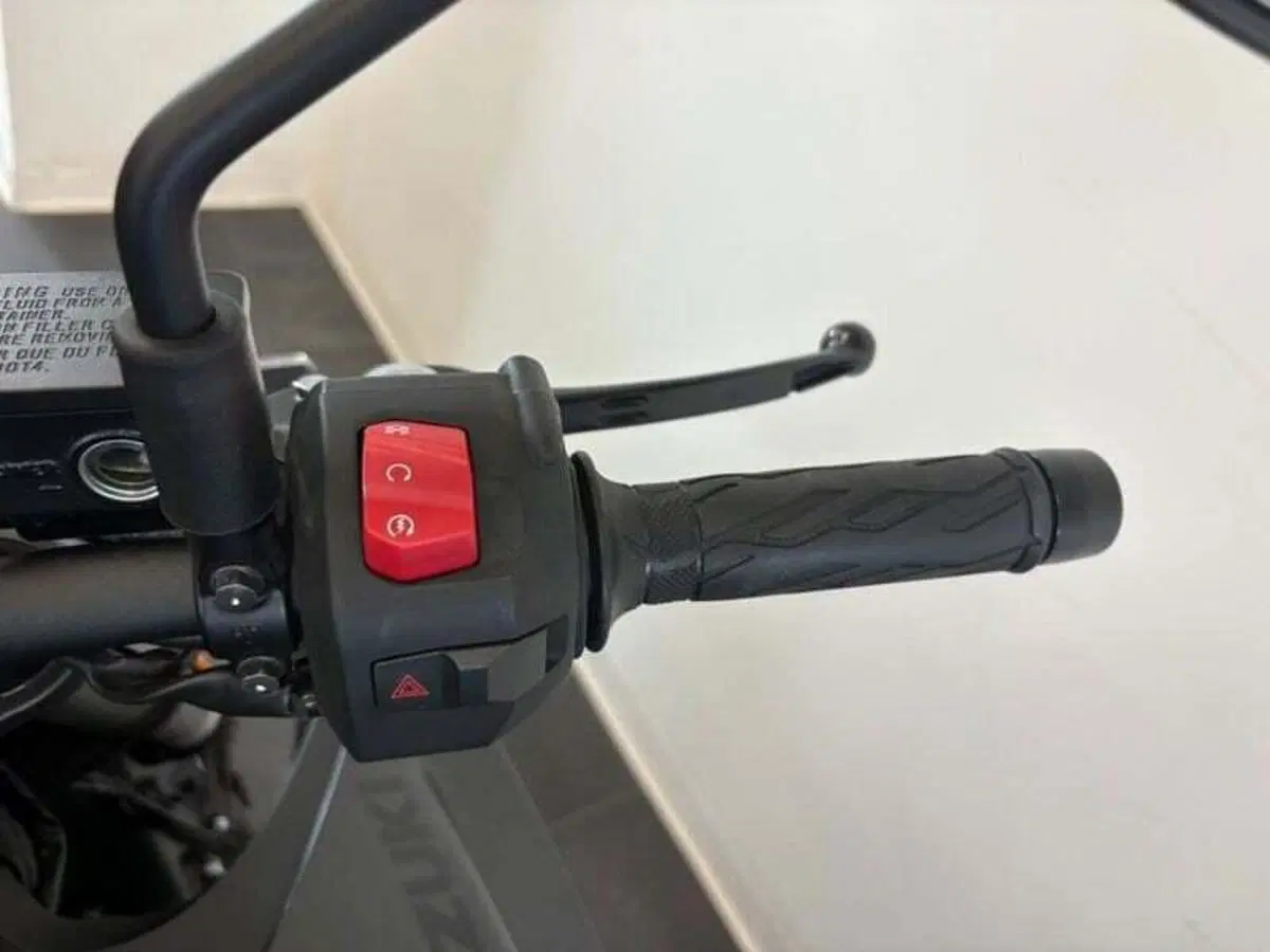 Suzuki GSX-8S (2023 - 24) (8)
