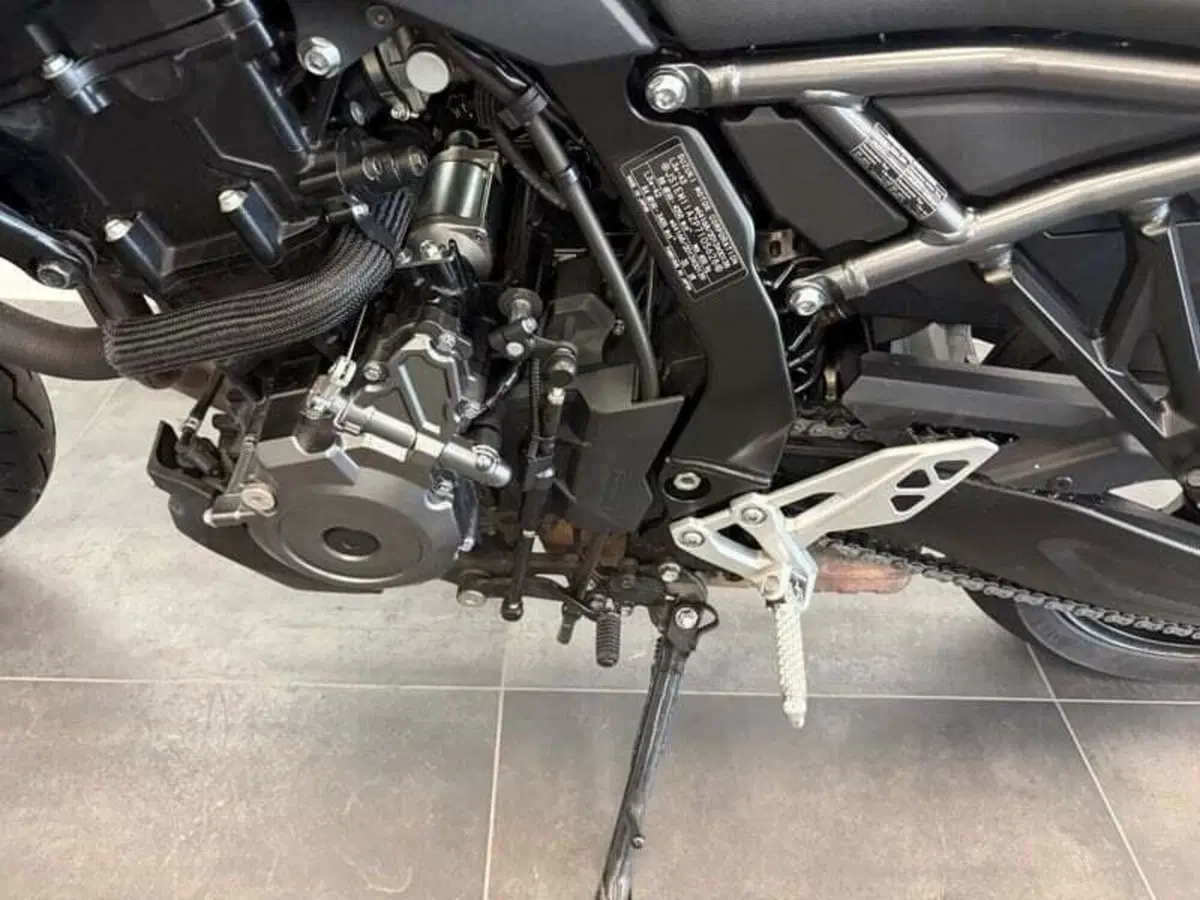 Suzuki GSX-8S (2023 - 24) (13)