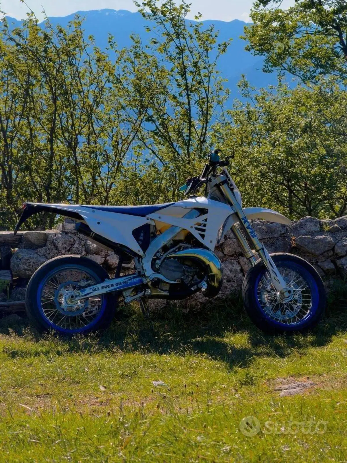Tm Moto SMR 300 ES Fi 2T (2023 - 24) (2)