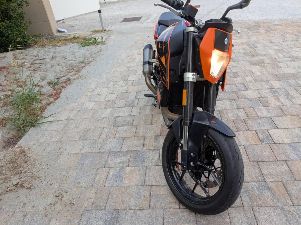 KTM 690 Duke (2016 - 19) (5)