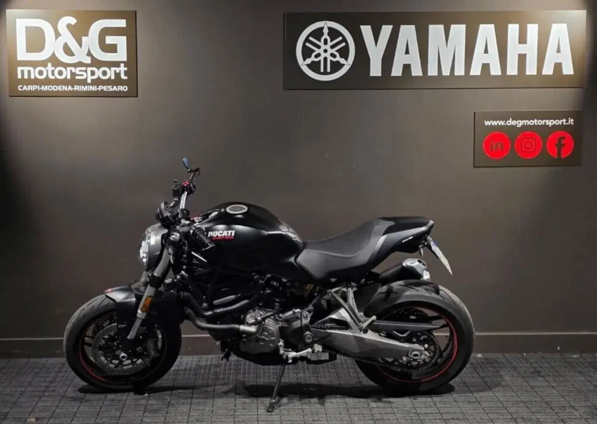 Ducati Monster 821 (2018 - 20) (4)