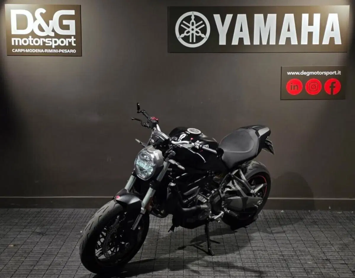 Ducati Monster 821 (2018 - 20) (3)