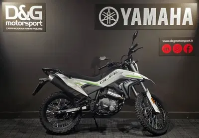 CFMOTO 300CL-X Heritage (2023 - 26) usata